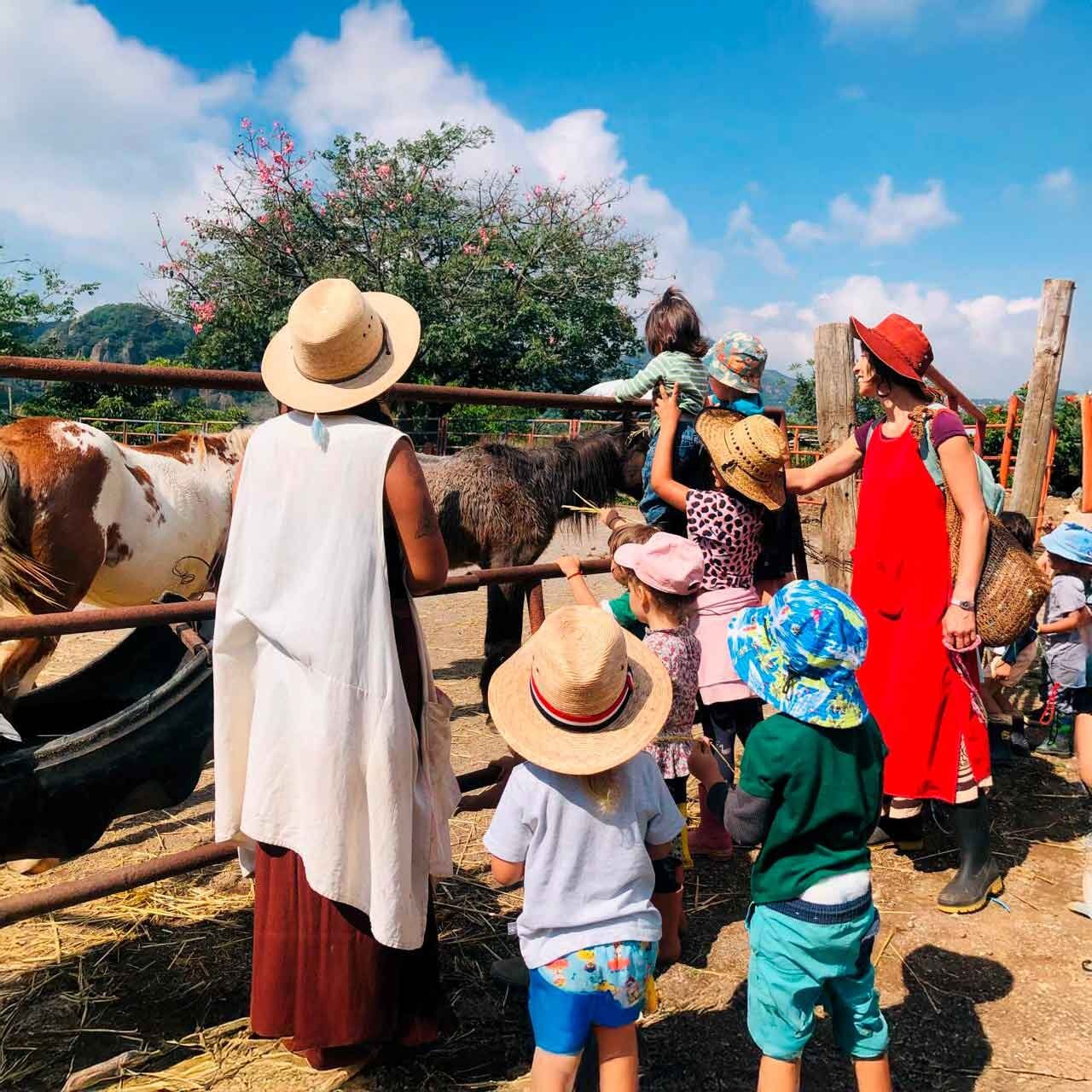 Donaciones y Apadrinales